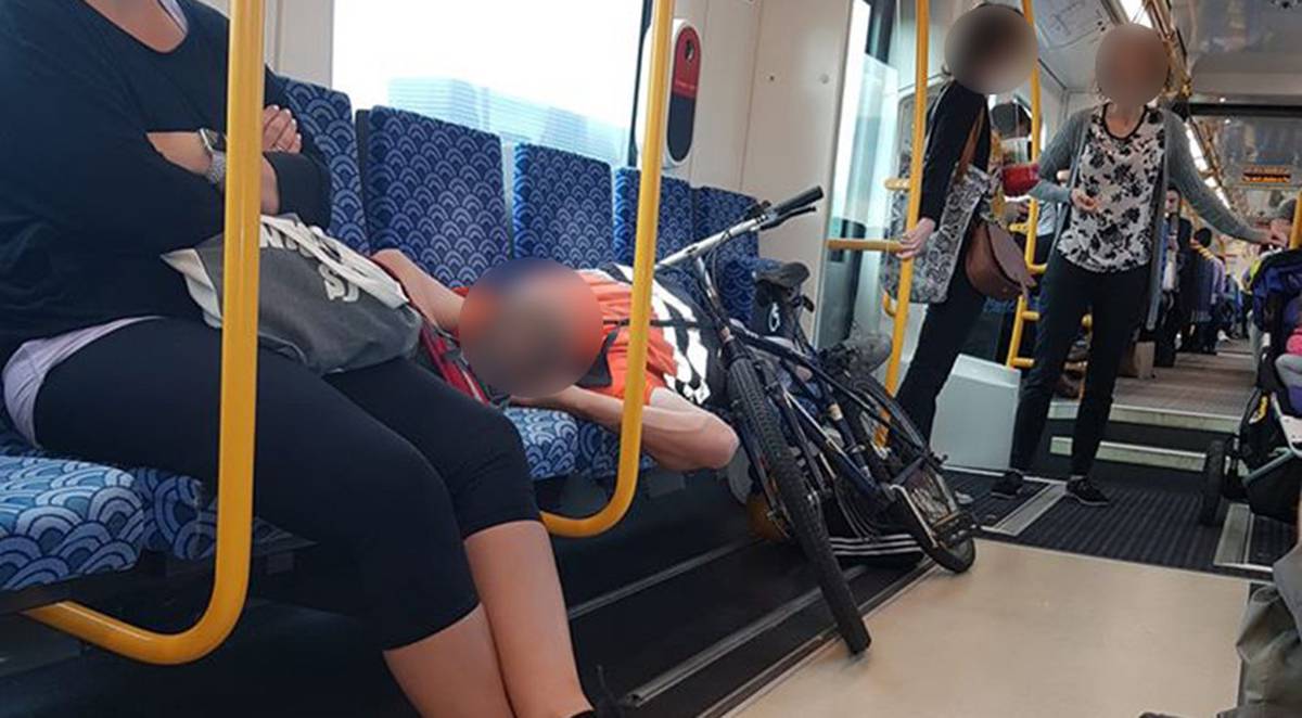 the_bfd_nz_cyclist_on_train