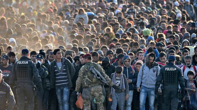EU Govts Fed up with Fakefugees