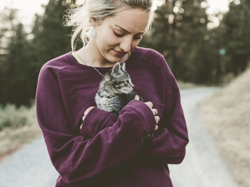 Selective Focus Photography of Woman Wearing Purple Sweater Holding Silver Tabby Cat