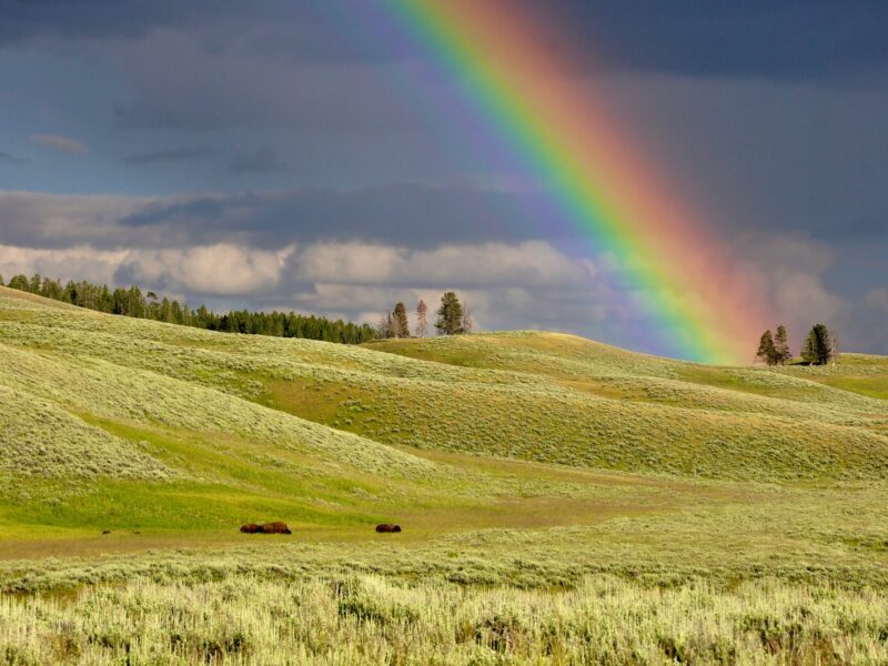 rainbow near green grass ranges