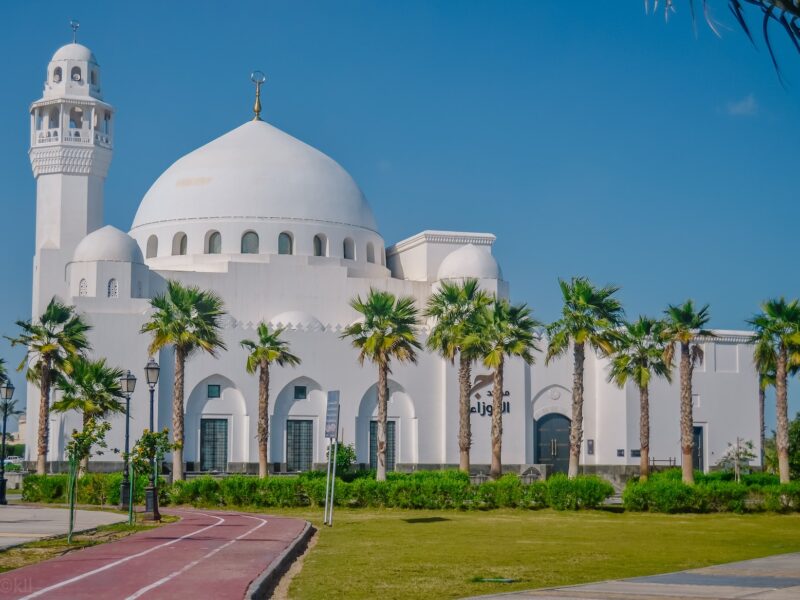 photography of white mosque during daytime