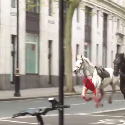 A White Horse Rampaged through the Streets of London
