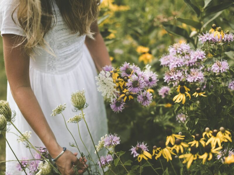 woman wearing white dress picking petaled flower