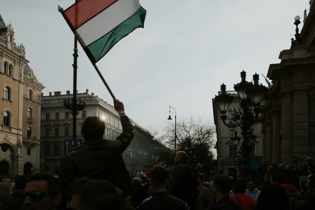 a man holding a flag in a crowd of people